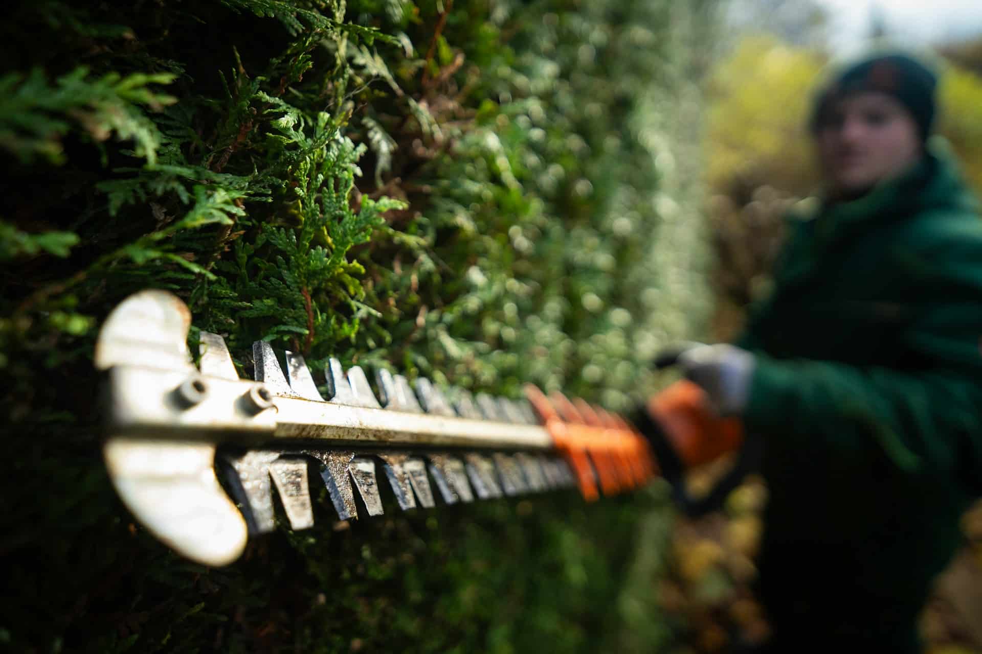 Hecken schneiden und Gartenpflege in Bad Waldsee