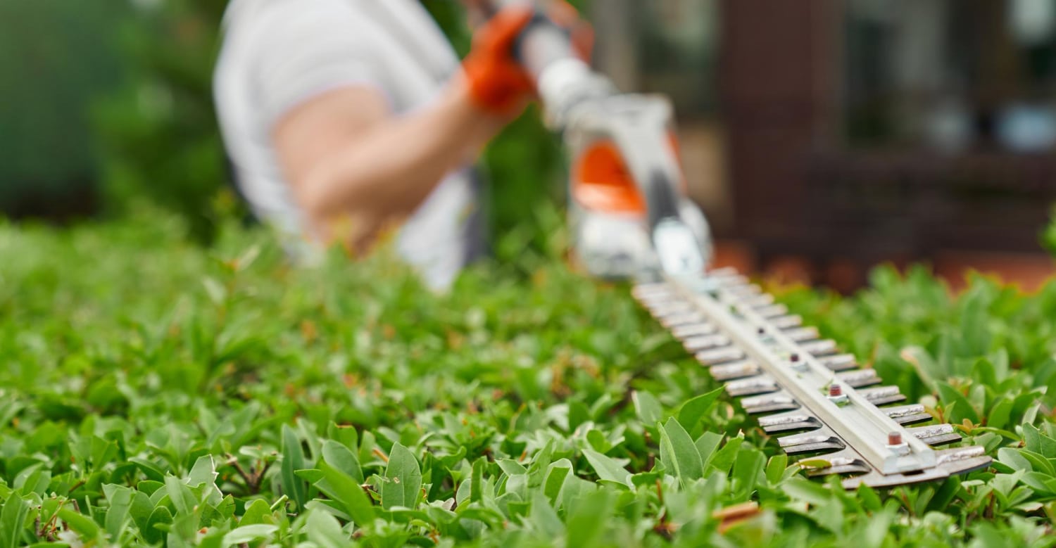 Sauber geschnittene Hecke bei Gartenpflege in Bad Waldsee