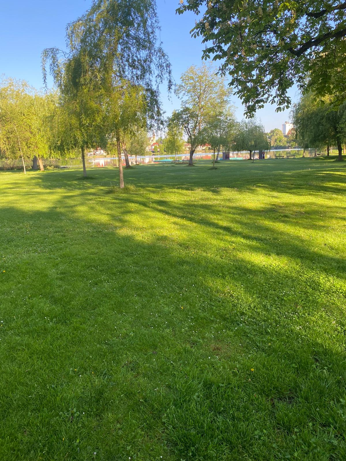 objektpflege-hausmeisterservice-bad-waldsee Projekt Gartenpflege Bad Waldsee – Außenanlage Rasenmähen