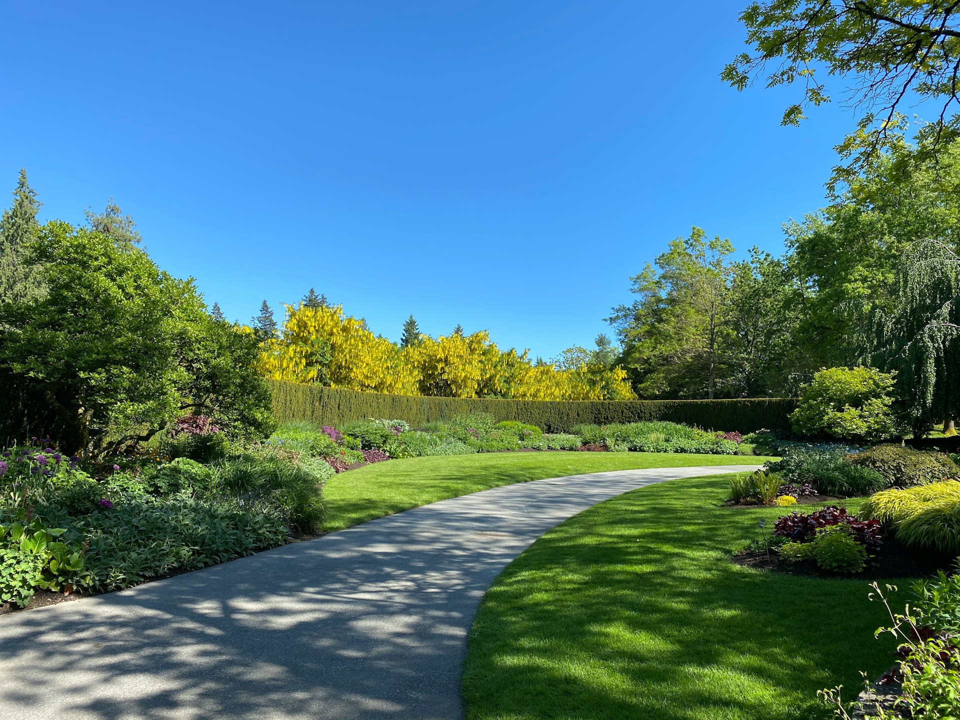 Frisch gemähter Rasen bei professioneller Gartenpflege in Bad Waldsee